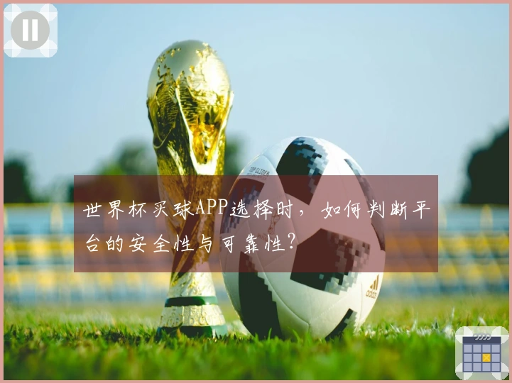 世界杯买球APP选择时，如何判断平台的安全性与可靠性？