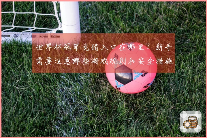 世界杯冠军竞猜入口在哪里？新手需要注意哪些游戏规则和安全措施