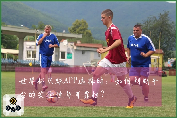 世界杯买球APP选择时,如何判断平台的安全性与可靠性?